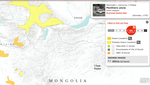 IUCN range map of snow leopards showing a probable resident population in northern Mongolia. 